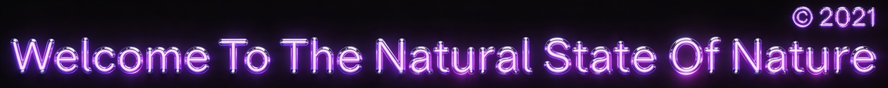 The Natural State of Nature